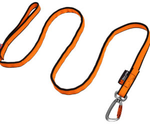 Bungee Leash